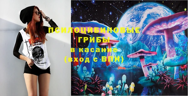 прущий лед Арсеньев