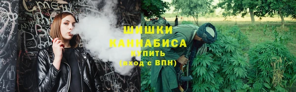 прущий лед Арсеньев